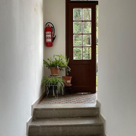 Mima'S Place Ζάγκρεμπ Εξωτερικό φωτογραφία